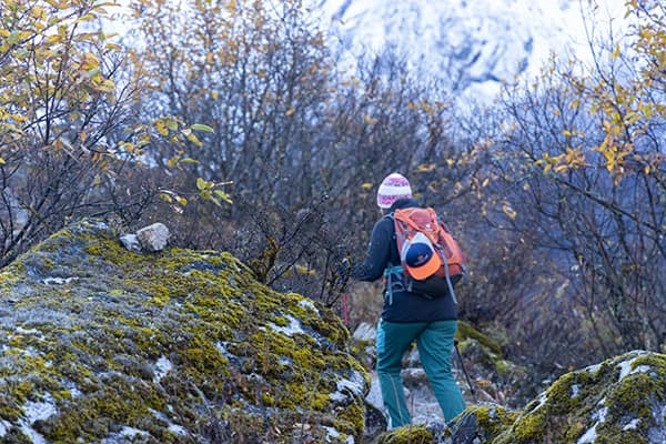 A hikers heading to the over night destination during Manaslu Circuit Trek