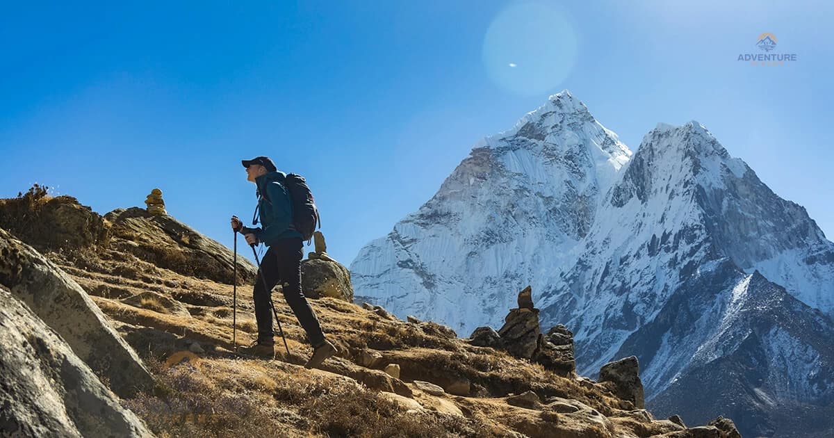 Terms and Conditions