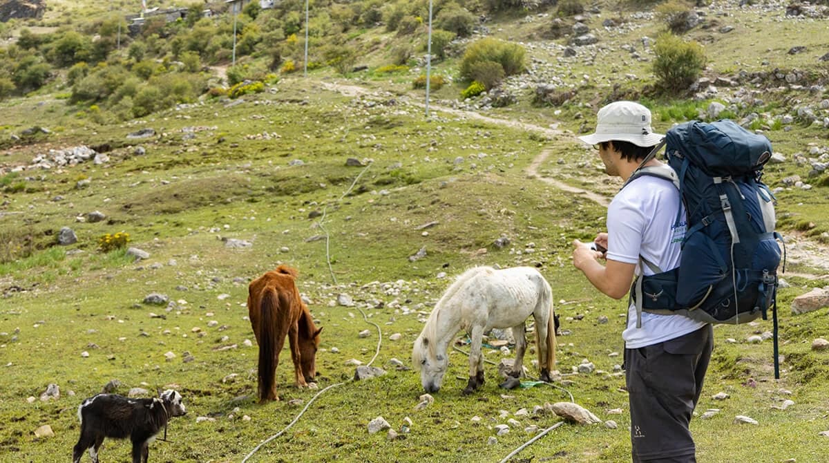 Langtang Trekking Photo
