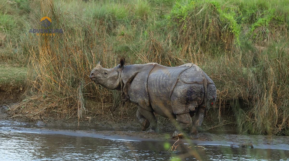 Bardiya National Park Tour Photo