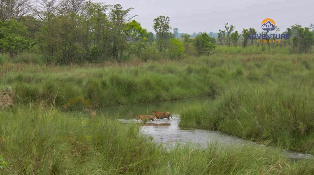 Bardiya Tour Photo