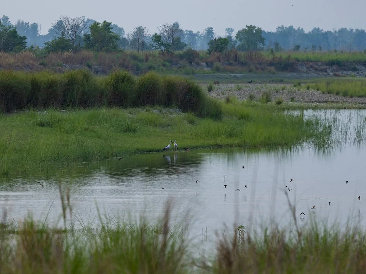 Bardiya Tour
