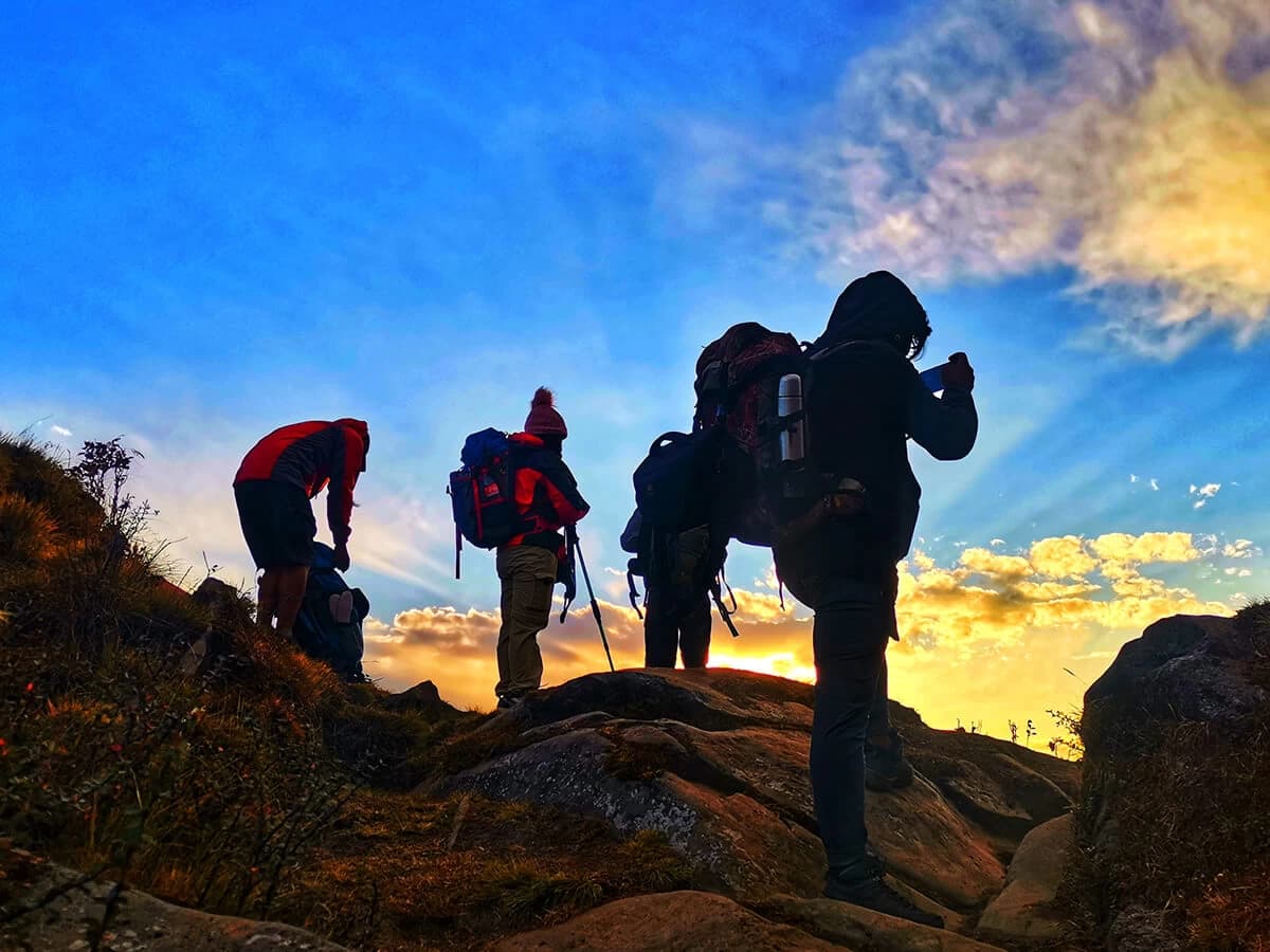 Mardi Trek