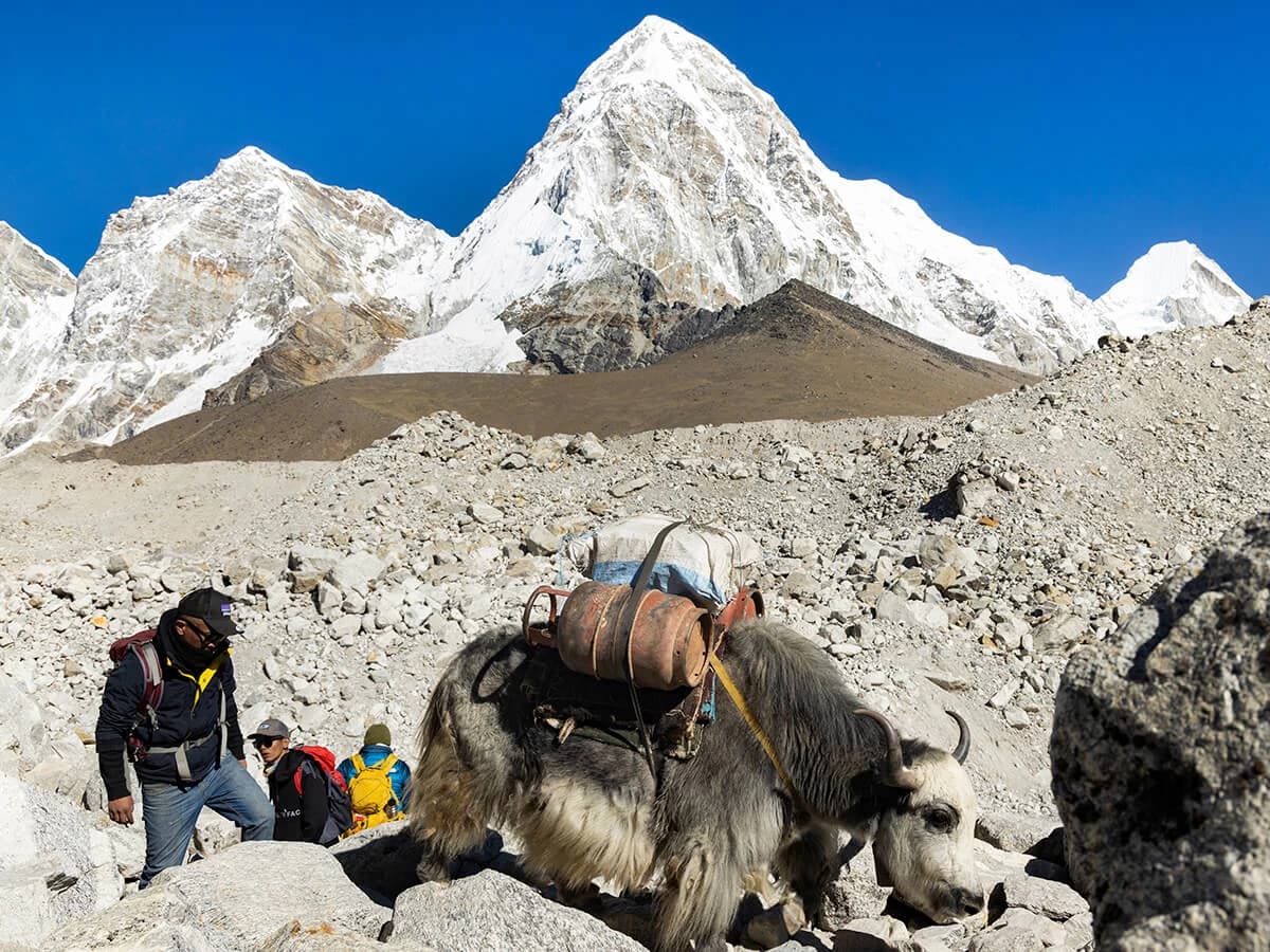 Mount Pumori
