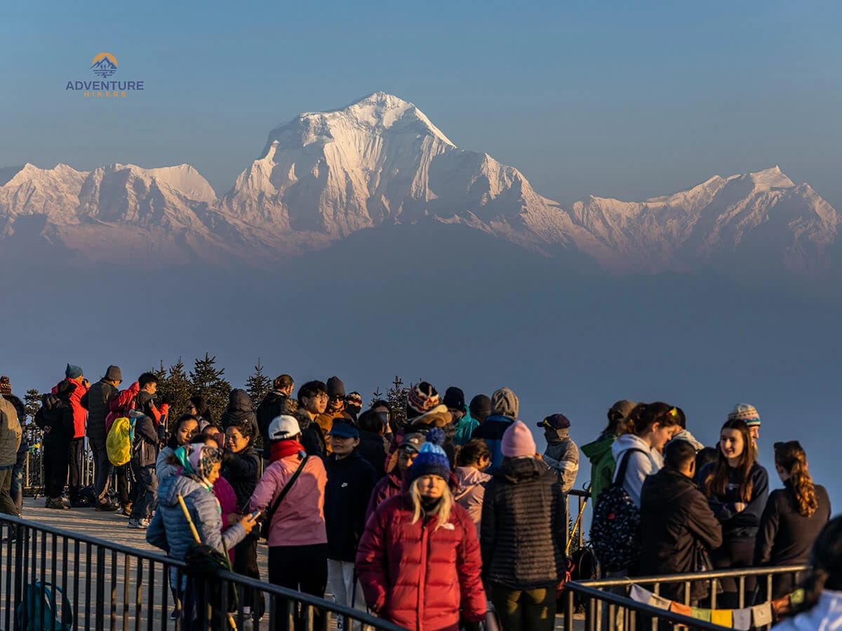 Poon Hill Trekking