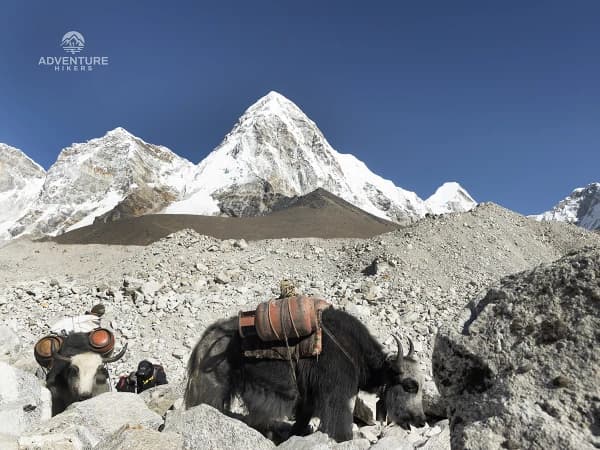 Everest Tour By Helicopter
